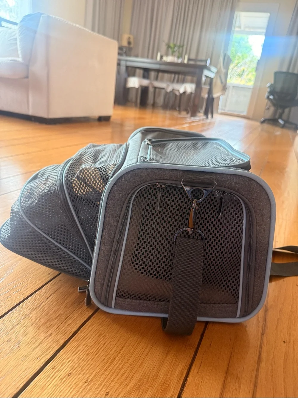 Pet carrier